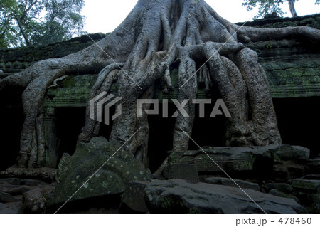 タ・プローム 478460