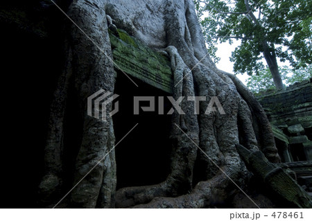 タ・プローム 478461