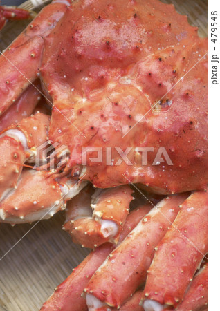 タラバガニ 479548