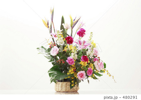 花の贈り物 花の贈り物 480291