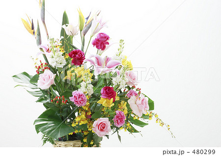 花の贈り物 480299