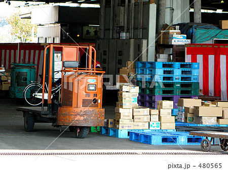 青果市場とターレット 480565