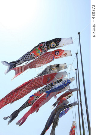 鯉のぼり 480872
