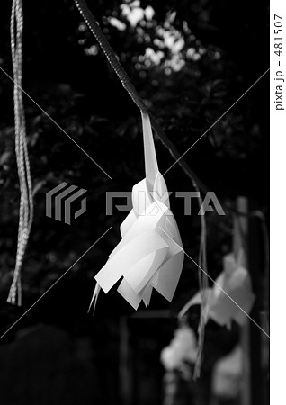 サンクチュアリ(聖域) 481507