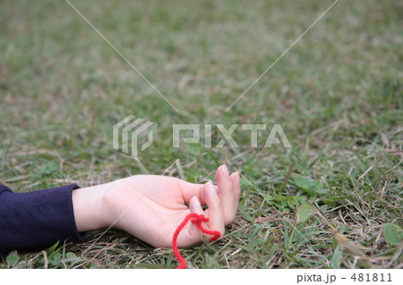 女性の小指と赤い糸の写真素材