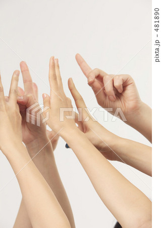 女性の手 481890
