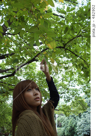 公園を散歩する若い女性 公園を散歩する若い女性 482902