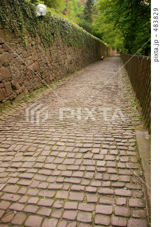 ハイデルベルグの哲学の道 483829