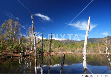 乗鞍高原 まいめの池 乗鞍高原 まいめの池 483936