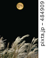 月とススキ 月とススキ 484909