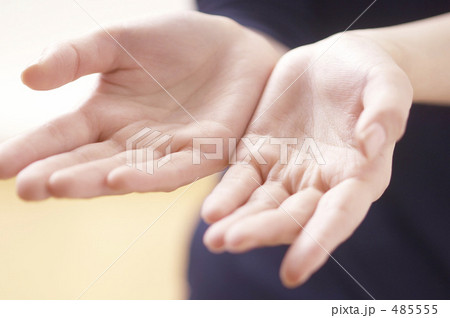女性の両手 485555