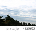 木々と空と 486952