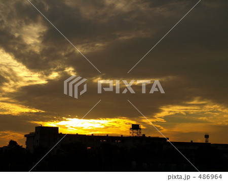 黄金の夕陽 486964