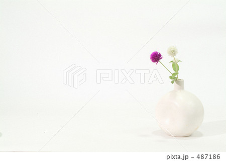 野草の一輪挿し 487186