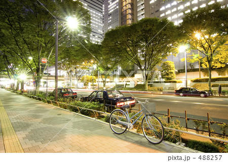 新宿夜景　街路樹 488257
