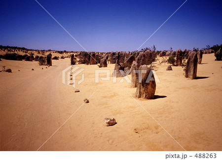 ピナクルズ 488263