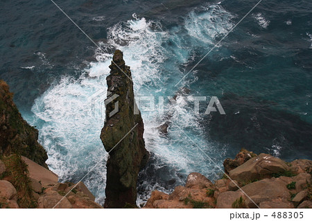 天売島の野鳥の岩 488305