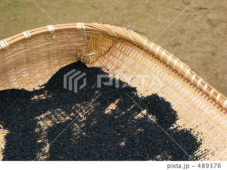 黒胡麻干し 489376