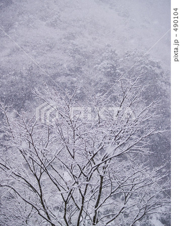 みるみる山は雪化粧 みるみる山は雪化粧 490104