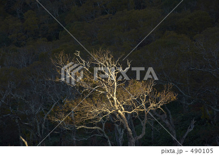 北海道オロフレ峠 490105