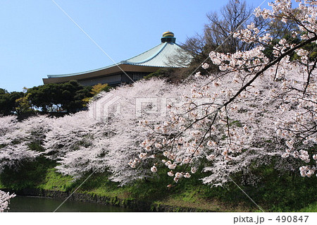 桜咲く日本武道館 桜咲く日本武道館 490847