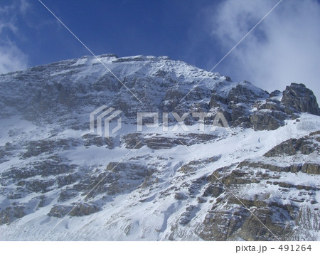 コロンビア大氷原 491264
