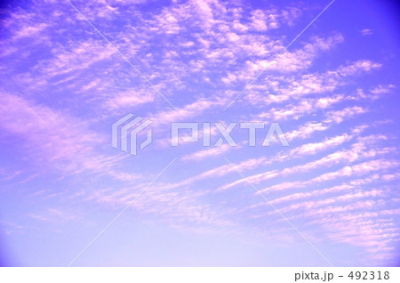 紫の空Ⅰ 紫の空Ⅰ 492318