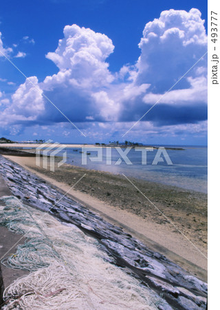 海洋博公園目の前 493777