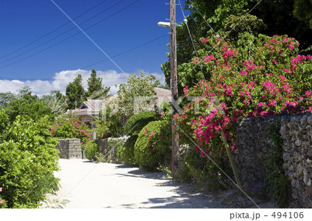 竹富の集落 494106