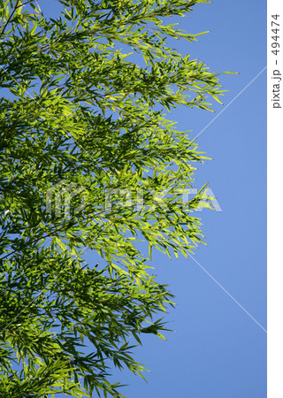 空と緑 494474