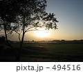 夕日 494516