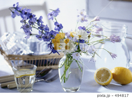 食卓の爽やかな花 494817