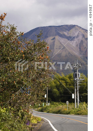 柿実る伯耆街道 柿実る伯耆街道 494987