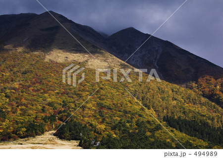 大山桝水高原ゲレンデの紅葉 494989