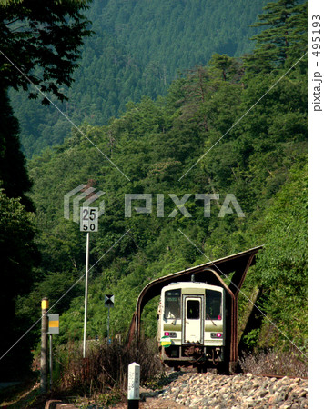 夏山をバックに走る九頭竜線 495193