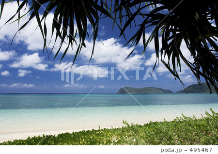 秘境　イダの浜 495467