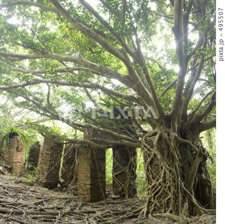 宇多良炭坑跡 495507