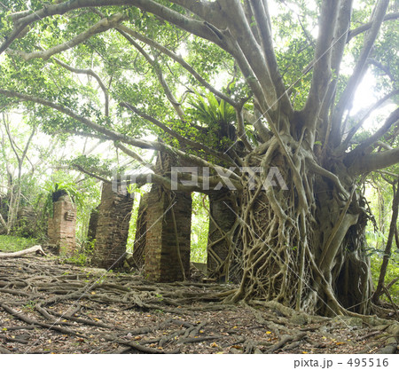 宇多良炭坑跡 495516