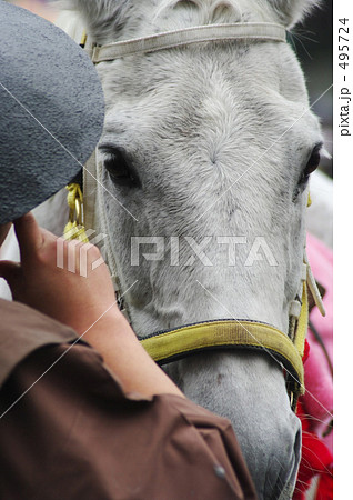 今日はたのむよ 495724