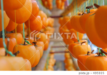 あんぽ柿4 あんぽ柿4 495935