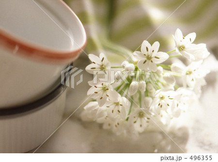 爽やかな光と白い花とココット 496355