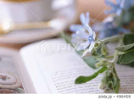 花と本とティーカップ  496409