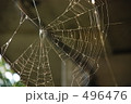 スパイダーネット 496476