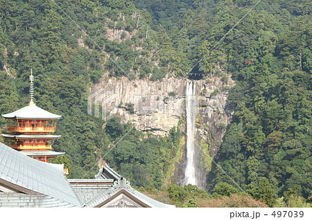 滝 滝 497039