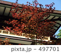 497701