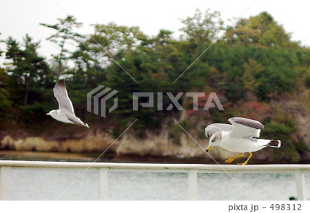 ひとやすみ 498312