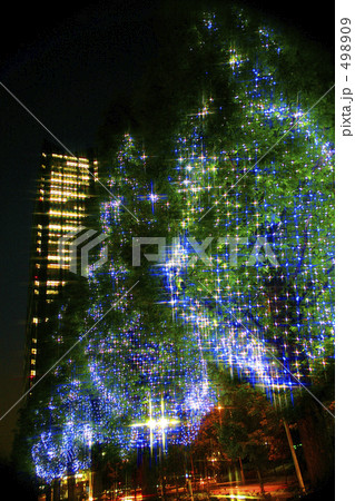 街路樹とオフィス街 498909