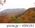 大山の紅葉 499191