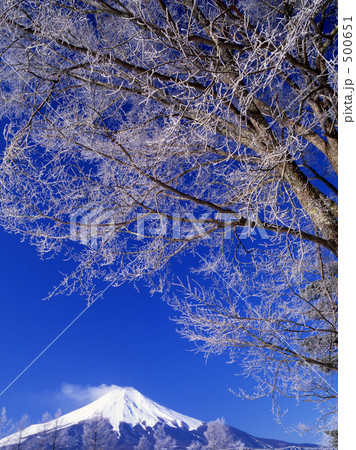 霧氷満開の富士 500651