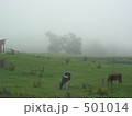 朝霧に包まれて 501014